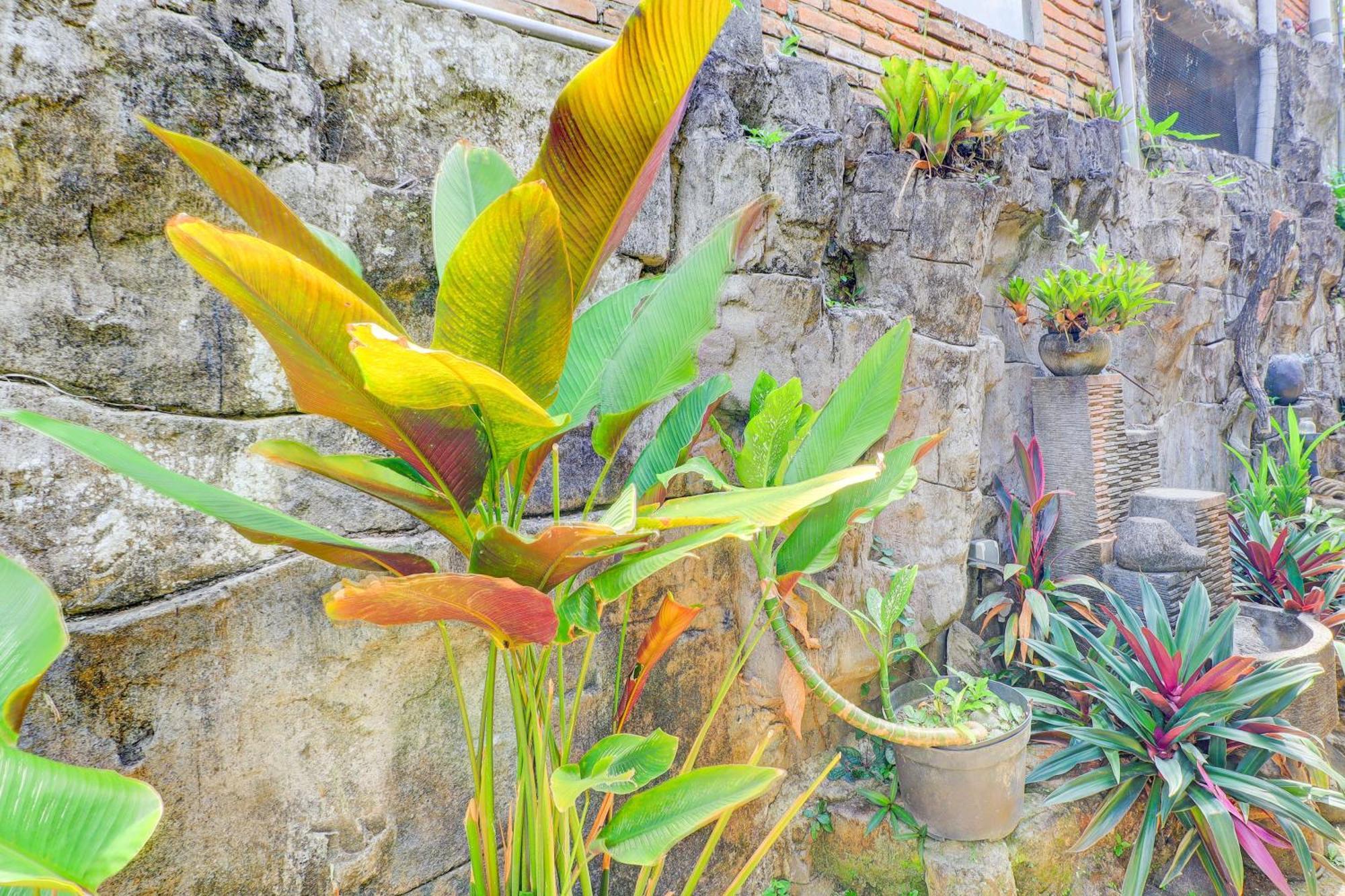 Hotel O Ubud Asri Homestay Near Monkey Forest מראה חיצוני תמונה